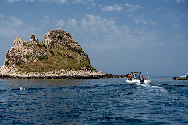 Egadi Experience Boat Tour